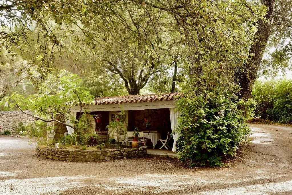 Couette-café B&B Le Niaouli Lorgues France