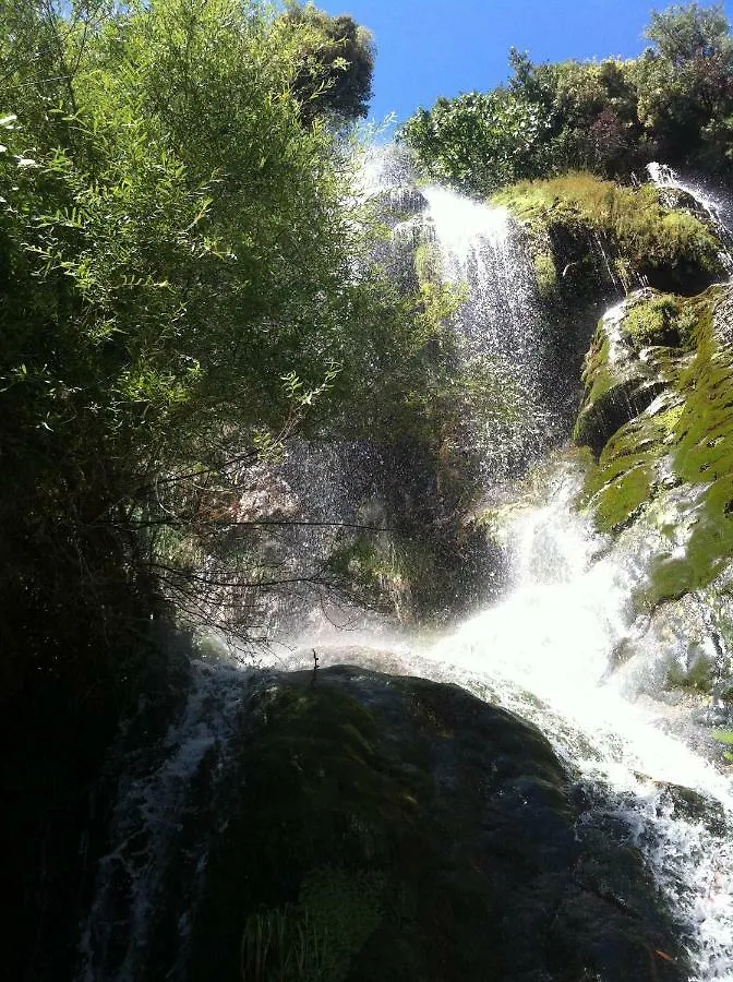 B&B Le Niaouli Lorgues 0*,