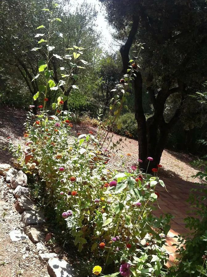 B&B Le Niaouli Lorgues Couette-café